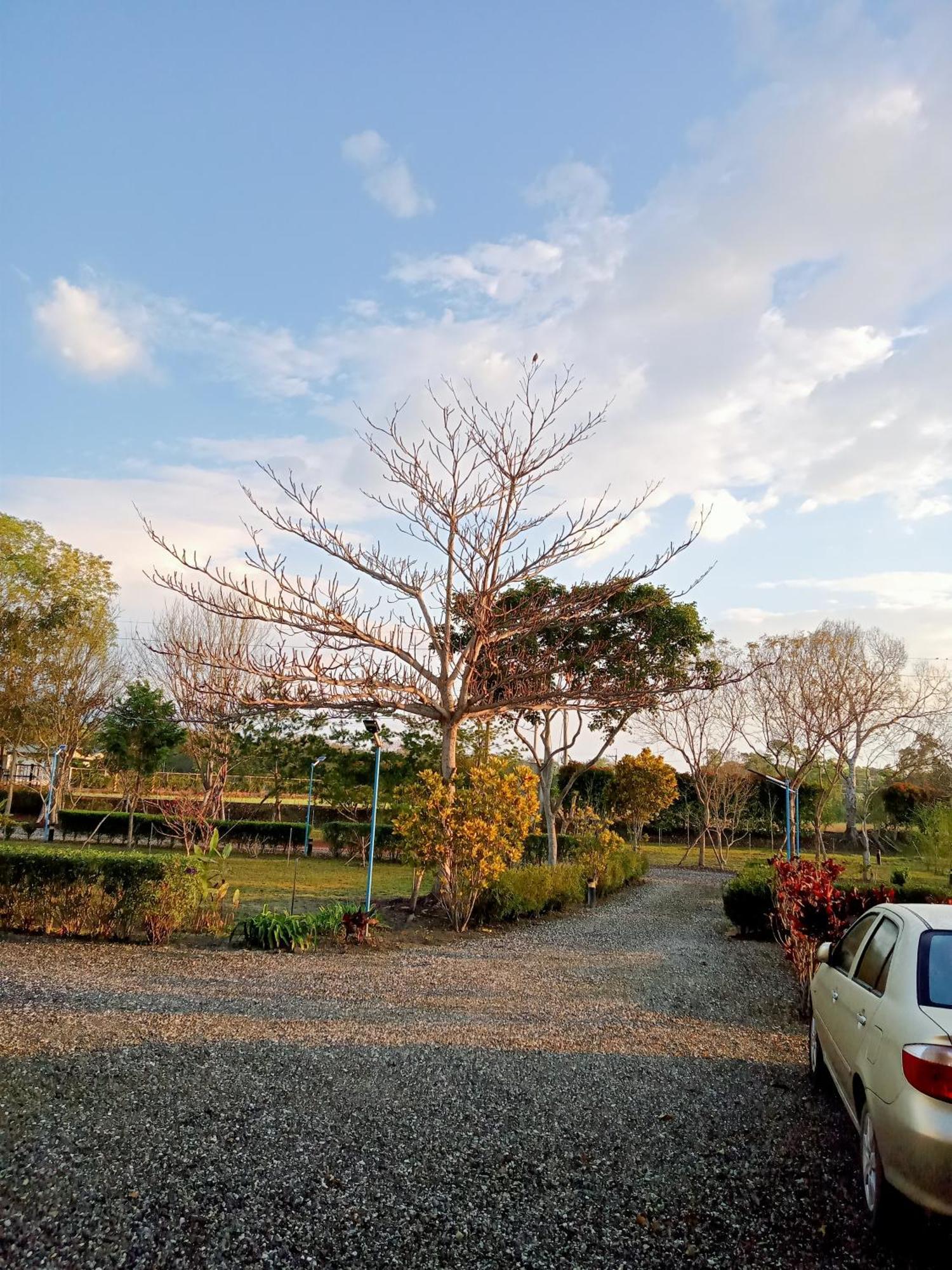 Maple Feeling Vacation Farm Guest House กวงฟู ภายนอก รูปภาพ